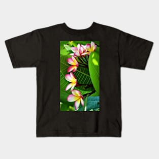 plumeria-flowers-frangipani-floral-blossom-multi-colors-shirtyshirto-64 Kids T-Shirt